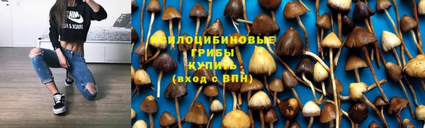 ПСИЛОЦИБИНОВЫЕ ГРИБЫ Белоозёрский