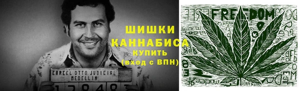 ПСИЛОЦИБИНОВЫЕ ГРИБЫ Белоозёрский