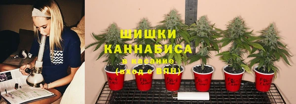 таблы Богородицк