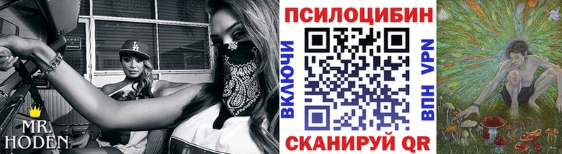 купить наркотик  mega зеркало  Псилоцибиновые грибы MAGIC MUSHROOMS  Бокситогорск 
